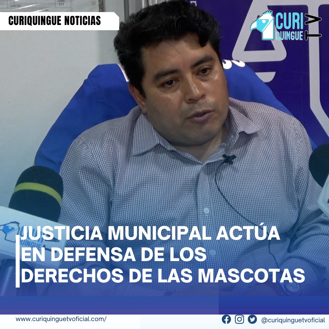 #NoticiaLocal Director de Justicia Municipal Aborda Protección Animal... Marcelo Sandoval director de Justicia Municipal, explicó los procedimientos para salvaguardar los derechos de las mascotas. En medio de la conmoción por el envenenamiento de dos cachorros Pitbull en el barrio Pamguiguia, destacó el compromiso de la entidad para garantizar el bienestar animal y atender denuncias con celeridad. Más noticias y Tv en vivo: www.curiquinnguetv.com #CuriquingueTvOficiall