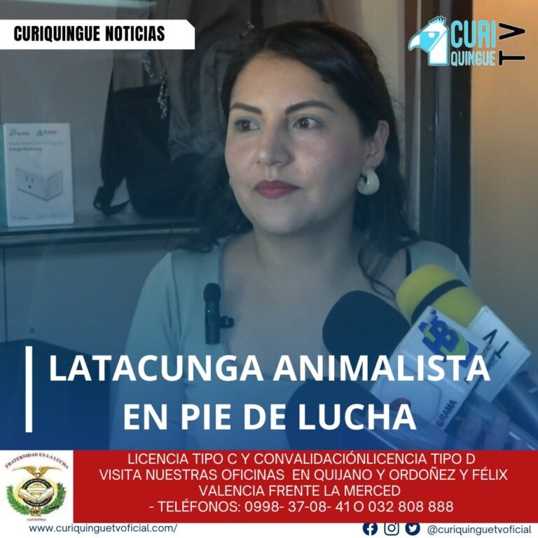 #NoticiaLocal La presidenta de la fundación Latacunga Animalista, Adriana Páez, denunció varios casos de maltrato animal en la ciudad y pidió que se proceda a sancionar a los responsables según la ley. Uno de los casos más recientes fue el de una mujer que mató a perros colgándolos de un árbol en el barrio Brazales La Calera. Además de denunciar estos actos de crueldad, Páez informó sobre las esterilizaciones masivas que se han realizado y se van a realizar en próximas fechas para controlar la población animal en la ciudad. Le recordamos que puede seguir a través de #CuriquingueTv en #ATVCABLE #canal83 #Latacunga #Pujilí #Saquisilí #CBVisión #canal79 #Salcedo #Ambato #TVPlus #canal48 #LaManá #Valencia #Quevedo ¡Gracias por sintonizarnos! Más noticias y Tv en vivo: www.curiquinguetv.com #CuriquingueTvOficial