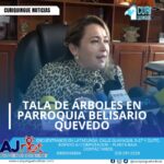 #NoticiaParroquial En la parroquia Belisario Quevedo, se talaron varios árboles en un predio municipal. La vicealcaldesa María Esther Veloz informó sobre el tema, mientras que el presidente de la Junta Parroquial explicó que la tala se realizó debido a que el lugar era utilizado para cometer actos ilícitos. Le recordamos que puede seguir a través de #CuriquingueTv en #ATVCABLE #canal83 #Latacunga #Pujilí #Saquisilí #CBVisión #canal79 #Salcedo #Ambato #TVPlus #canal48 #LaManá #Valencia #Quevedo a las 07H00. ¡Gracias por sintonizarnos! #CuriquingueTv #UnaNuevaFormaDeHacerTelevisión www.curiquinguetv.com