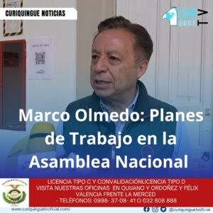 #NoticiaProvincial Marco Olmedo, asambleísta electo por Cotopaxi, habló sobre cómo se trabajará en la Asamblea Nacional y sus planes para representar a la provincia. Le recordamos que puede seguir a través de #CuriquingueTv en #ATVCABLE #canal83 #Latacunga #Pujilí #Saquisilí #CBVisión #canal79 #Salcedo #Ambato #TVPlus #canal48 #LaManá #Valencia #Quevedo a las 07H00. ¡Gracias por sintonizarnos! #CuriquingueTv #UnaNuevaFormaDeHacerTelevisión www.curiquinguetv.com