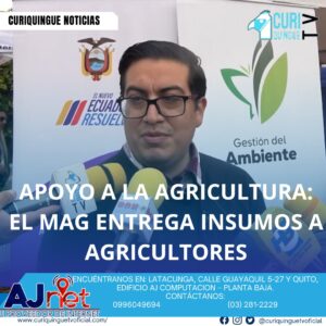 #NoticiaProvincial Apoyo a la Agricultura El Ministerio de Agricultura y Ganadería (MAG) ha entregado insumos a agricultores de Cotopaxi, con el objetivo de mejorar la calidad de producción y apoyar a los campesinos locales. Esta iniciativa busca impulsar el desarrollo agrícola en la región y mejorar la calidad de vida de los agricultores.Le recordamos que puede seguir a través de #CuriquingueTv en #ATVCABLE #canal83 #Latacunga #Pujilí #Saquisilí #CBVisión #canal79 #Salcedo #Ambato #TVPlus #canal48 #LaManá #Valencia #Quevedo a las 07H00. ¡Gracias por sintonizarnos! #CuriquingueTv #UnaNuevaFormaDeHacerTelevisión www.curiquinguetv.com