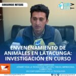 #NoticiaLocal En el barrio Chan del cantón Latacunga se denuncia que fueron envenenados 4 perritos y un becerro. El director de Justicia Municipal y el director del MAG detallan más sobre el tema. Le recordamos que puede seguir a través de #CuriquingueTv en #ATVCABLE #canal83 #Latacunga #Pujilí #Saquisilí #CBVisión #canal79 #Salcedo #Ambato #TVPlus #canal48 #LaManá #Valencia #Quevedo a las 07H00. ¡Gracias por sintonizarnos! #CuriquingueTv #UnaNuevaFormaDeHacerTelevisión www.curiquinguetv.com https://youtu.be/ose5-VED7B8