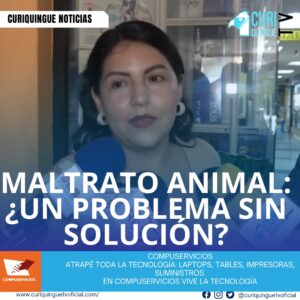 #NoticiaLocal Adriana Páez denuncia un caso de maltrato animal y destaca la existencia de vacíos legales en la ley que permiten el abuso de estos seres indefensos. Le recordamos que puede seguir a través de #CuriquingueTv en #ATVCABLE #canal83 #Latacunga #Pujilí #Saquisilí #CBVisión #canal79 #Salcedo #Ambato #TVPlus #canal48 #LaManá #Valencia #Quevedo a las 07H00. ¡Gracias por sintonizarnos! #CuriquingueTv #UnaNuevaFormaDeHacerTelevisión www.curiquinguetv.com
