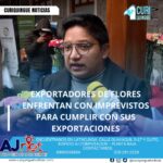 #NoticiaLocal Los exportadores de flores de la región enfrentan desafíos para cumplir con sus exportaciones debido a la guerra en Medio Oriente y el clima adverso que atraviesa el país. A pesar de estos obstáculos, los productores están trabajando arduamente para cumplir con sus compromisos y mantener la calidad de sus productos. Le recordamos que puede seguir a través de #CuriquingueTv en #ATVCABLE #canal83 #Latacunga #Pujilí #Saquisilí #CBVisión #canal79 #Salcedo #Ambato #TVPlus #canal48 #LaManá #Valencia #Quevedo a las 07H00. ¡Gracias por sintonizarnos! #CuriquingueTv #UnaNuevaFormaDeHacerTelevisión www.curiquinguetv.com