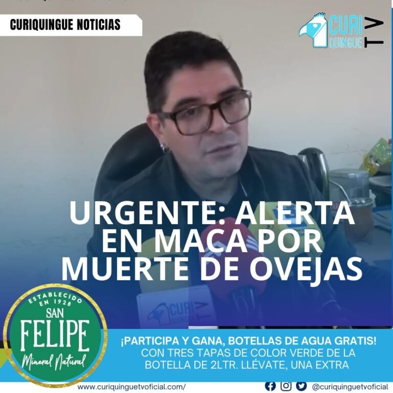 Un incidente desconcertante ha sacudido a la comunidad de Maca, donde varias ovejas murieron el domingo pasado presuntamente debido a la presencia de 5 canes. Según informó el jefe político del cantón, se está investigando el caso para determinar las causas exactas del incidente.