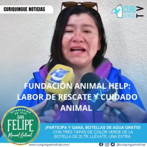 La presidenta de la fundación Animal Help, Daniela Zuñiga, informó sobre la labor de rescate y atención a animales en situación de vulnerabilidad en Latacunga y otros cantones. Gracias a la colaboración de una seguidora, la fundación pudo ayudar a una perrita en el cantón Saquisilí. Zuñiga enfatizó la necesidad de implementar ordenanzas en Saquisilí y Pujilí para prevenir el maltrato animal.