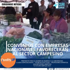 Cristian Gavilánes, Director del MAG Cotopaxi, informó sobre los posibles convenios con empresas nacionales que favorecerán al sector campesino. Además, habló sobre las fuertes heladas que han afectado parte de la serranía en los últimos días, lo que ha generado preocupación entre los agricultores.