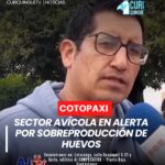 El sector avícola de la región se encuentra en estado de alerta debido a la sobre producción de huevos, lo que ha generado una disminución en los precios del producto. Según declaraciones de representantes del sector, la situación se debe a la falta de control por parte de las autoridades competentes.