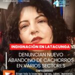 En distintos barrios de Latacunga vuelve a evidenciarse una preocupante realidad: el abandono de perritos recién nacidos