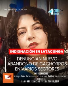 En distintos barrios de Latacunga vuelve a evidenciarse una preocupante realidad: el abandono de perritos recién nacidos