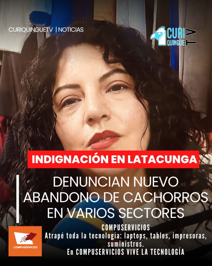 En distintos barrios de Latacunga vuelve a evidenciarse una preocupante realidad: el abandono de perritos recién nacidos