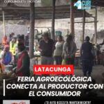 🌱 Feria impulsa lo local 🥬 Productores ofrecen alimentos frescos en Nintinacazo con la feria “De la mata a la olla”. 💬 ¿Apoyas estas iniciativas? #EconomíaLocal #Cotopaxi