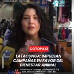 Adriana Páez, representante de Latacunga Animalista, destacó acciones en favor del bienestar animal 🐶