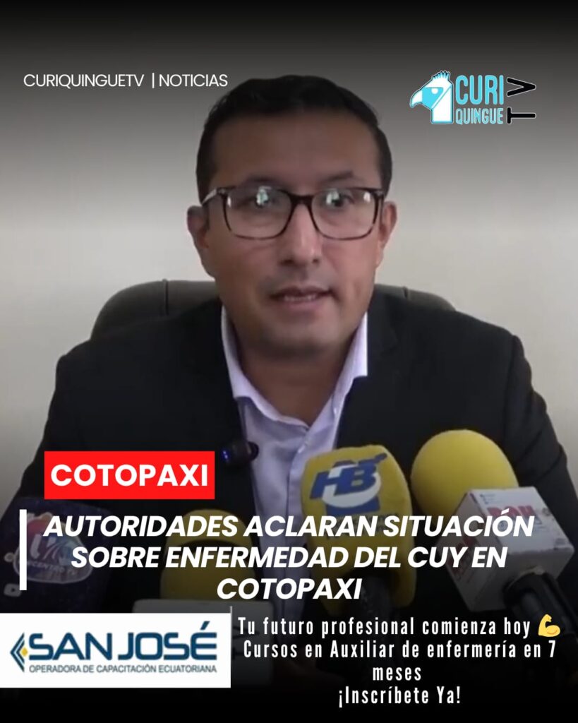 El gobernador de Cotopaxi se pronunció sobre los casos relacionados con la enfermedad del cuy, indicando que, hasta el momento, no se ha emitido ninguna prohibición para su comercialización.