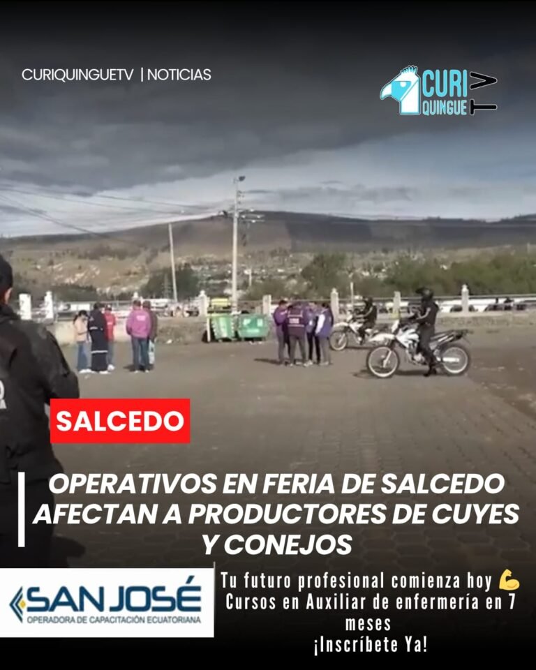 📰 Entidades de seguridad realizaron controles Durante el domingo de feria para evitar el ingreso de cuyes y conejos. Productores reportan afectaciones económicas y solicitan a las autoridades la implementación de alternativas sanitarias que les permitan continuar con su actividad sin mayores pérdidas. #Salcedo #Productores #Cuyes #Conejos #Feria #Economía