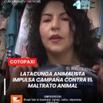 La Fundación Latacunga Animalista inició una campaña para socializar la ordenanza que sanciona el maltrato animal, normativa que según sus representantes actualmente no se estaría aplicando correctamente.
