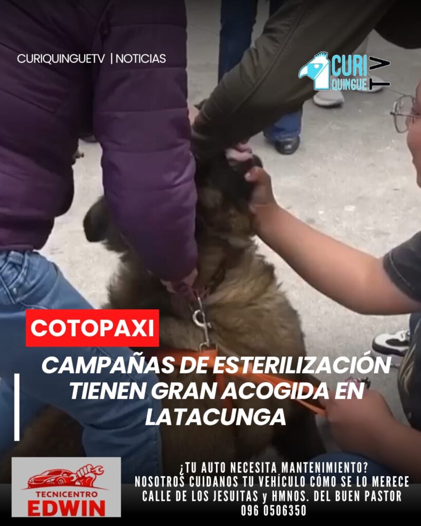 La Dirección de Ambiente del Municipio de Latacunga informó que las campañas de esterilización para mascotas continúan registrando una importante participación ciudadana.
