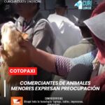 Los vendedores consideran necesario establecer mecanismos que permitan mantener sus fuentes de trabajo y fortalecer el comercio local.
