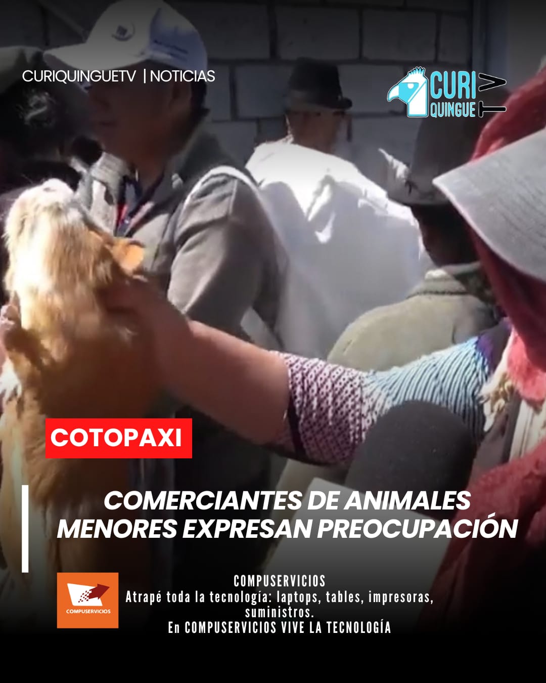 Los vendedores consideran necesario establecer mecanismos que permitan mantener sus fuentes de trabajo y fortalecer el comercio local.