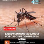La responsable del área de Epidemiología de la Dirección de Salud de Cotopaxi informó sobre el trabajo que se desarrolla en La Maná frente a la presencia de casos de dengue, con acciones orientadas al control y prevención de la enfermedad. 🏥🦟 #Dengue #LaManá #SaludPública