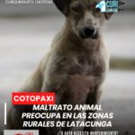 La Dirección de Justicia Municipal de Latacunga informó que uno de los problemas más recurrentes en las comunidades rurales del cantón es el maltrato animal. Ante esta situación, se reforzarán las acciones de control y sensibilización para promover el cuidado y protección de los animales. 🐶🐴