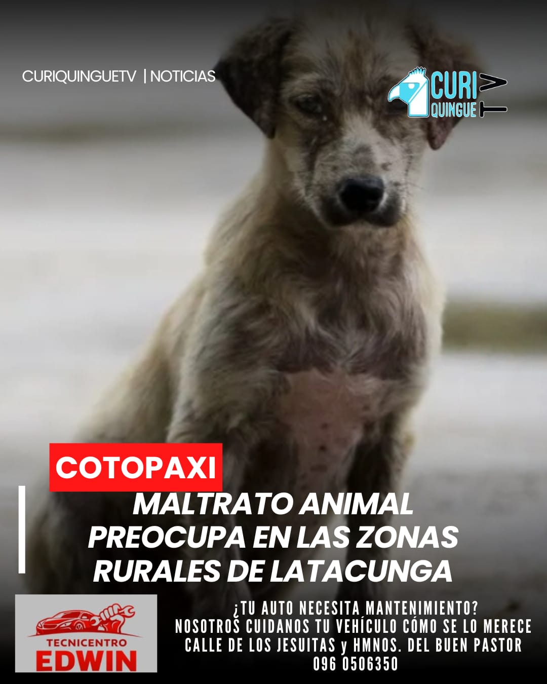 La Dirección de Justicia Municipal de Latacunga informó que uno de los problemas más recurrentes en las comunidades rurales del cantón es el maltrato animal. Ante esta situación, se reforzarán las acciones de control y sensibilización para promover el cuidado y protección de los animales. 🐶🐴