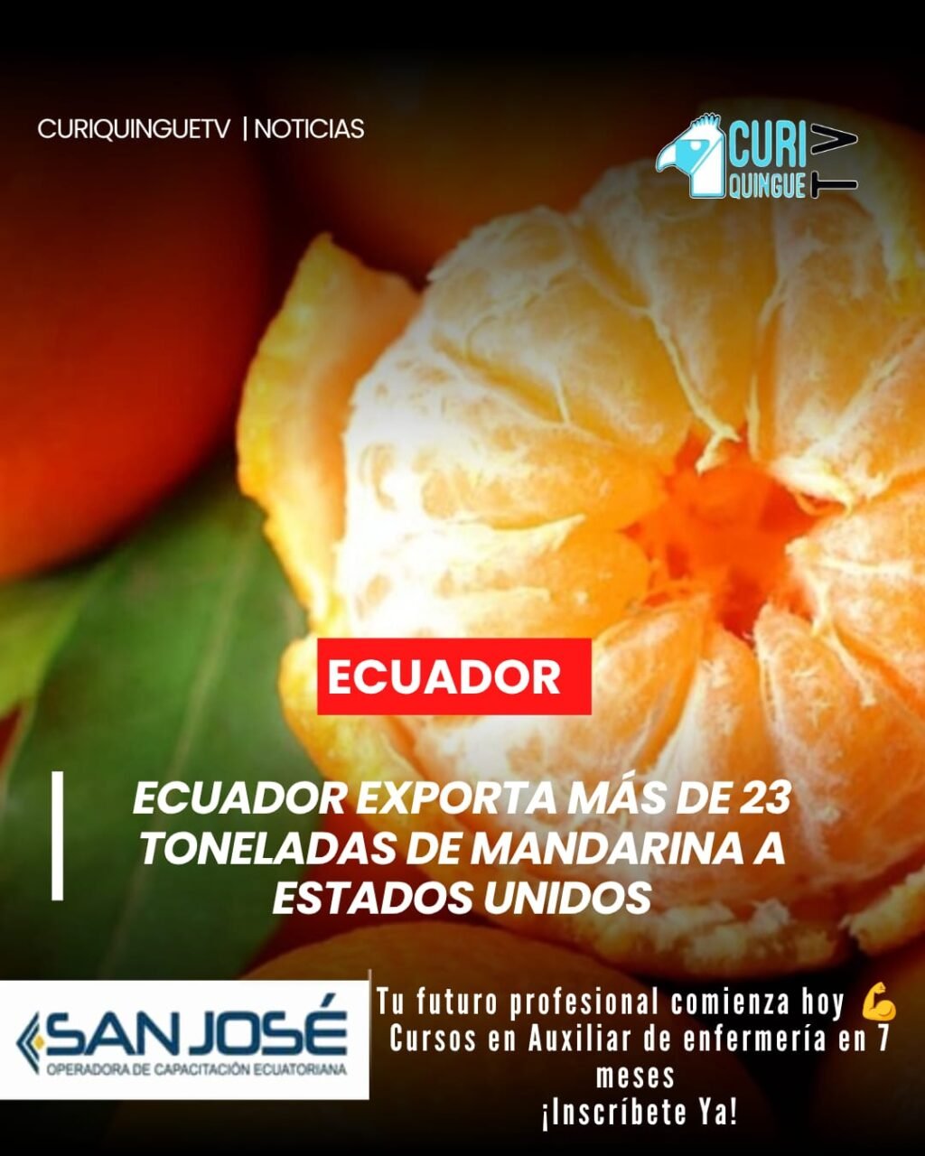 Ecuador concretó la exportación de 23.430 kilogramos de mandarina variedad Tango hacia Estados Unidos, luego de cumplir con el tratamiento en frío requerido para ingresar a ese mercado internacional.