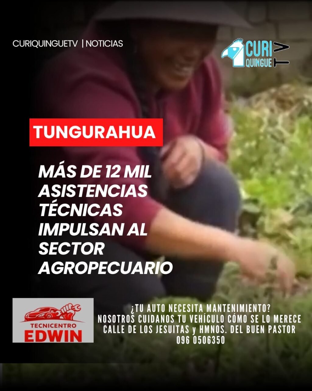 El Ministerio de Agricultura y Ganadería informó que, durante el primer semestre de 2026, se brindaron más de 12 mil asistencias técnicas a productores de la provincia de Tungurahua.