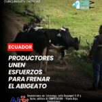 El incremento del delito de abigeato continúa generando preocupación entre los productores ganaderos del país. Ante esta problemática, la Asociación de Ganaderos de la Sierra y Oriente (AGSO), junto a la Policía Nacional, el Ministerio de Agricultura y centros agrícolas, conformaron una mesa intersectorial para coordinar acciones de prevención, control y respuesta frente al robo de ganado.