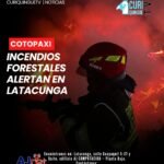 Personal del Cuerpo de Bomberos ha intervenido en las emergencias para controlar y extinguir las llamas, evitando que el fuego continúe propagándose.