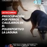 Los usuarios señalaron que la situación estaría generando inconvenientes para quienes acuden diariamente al lugar a realizar actividades deportivas y recreativas.