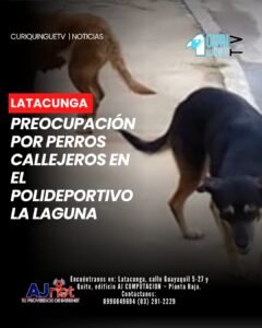Los usuarios señalaron que la situación estaría generando inconvenientes para quienes acuden diariamente al lugar a realizar actividades deportivas y recreativas.