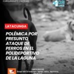 Luego de que se conociera una denuncia relacionada con el presunto ataque de unos perros a personas que realizan actividades en el Polideportivo de La Laguna, la Fundación Animal Help se pronunció sobre el caso.