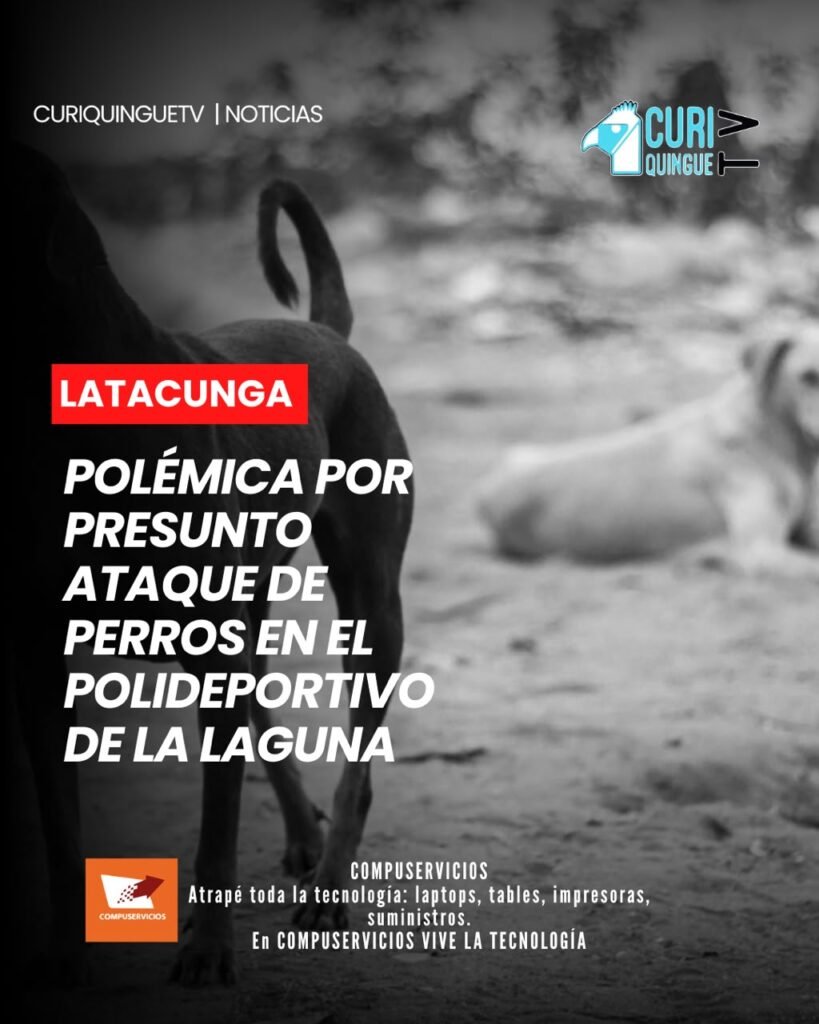 Luego de que se conociera una denuncia relacionada con el presunto ataque de unos perros a personas que realizan actividades en el Polideportivo de La Laguna, la Fundación Animal Help se pronunció sobre el caso.