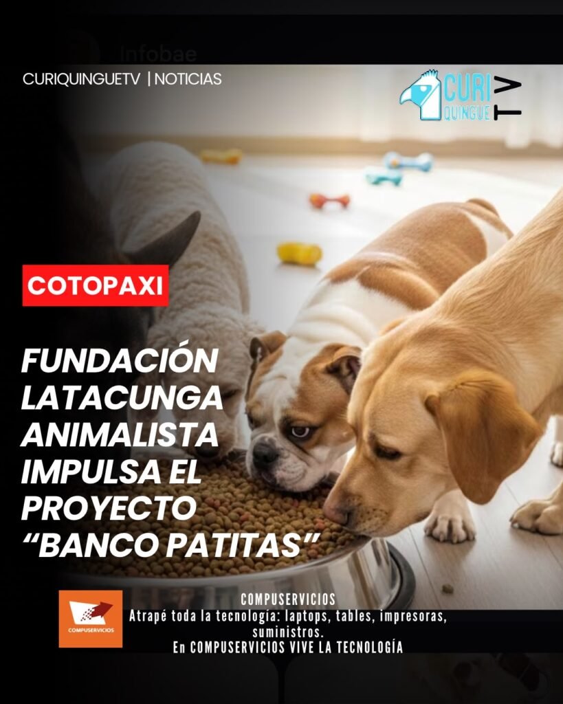 La Fundación Latacunga Animalista continúa adelante con el proyecto “Banco Patitas”, una iniciativa que busca recibir donaciones de alimentos destinados a cinco perritos en estado de abandono. Los animales se encuentran actualmente bajo la tutela de una persona que se encarga de su cuidado.