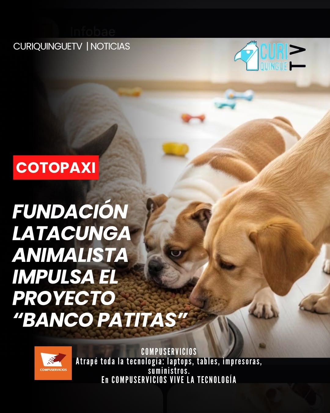 La Fundación Latacunga Animalista continúa adelante con el proyecto “Banco Patitas”, una iniciativa que busca recibir donaciones de alimentos destinados a cinco perritos en estado de abandono. Los animales se encuentran actualmente bajo la tutela de una persona que se encarga de su cuidado.