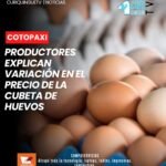 En la provincia de Cotopaxi se ha registrado una variación en el precio de la cubeta de huevos durante los últimos días. Uno de los productores del cantón Salcedo explicó los factores que estarían influyendo en el cambio del costo y en el comportamiento del producto dentro del mercado.