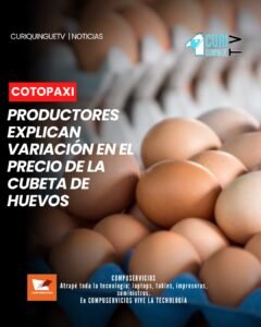 En la provincia de Cotopaxi se ha registrado una variación en el precio de la cubeta de huevos durante los últimos días. Uno de los productores del cantón Salcedo explicó los factores que estarían influyendo en el cambio del costo y en el comportamiento del producto dentro del mercado.