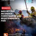 El ministro de Ambiente subrogante informó que a nivel nacional se han registrado más de 1.500 incendios forestales, dejando varias hectáreas afectadas. Las autoridades mantienen acciones de prevención y control para reducir el impacto de estos eventos y proteger los ecosistemas.
