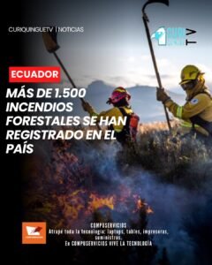El ministro de Ambiente subrogante informó que a nivel nacional se han registrado más de 1.500 incendios forestales, dejando varias hectáreas afectadas. Las autoridades mantienen acciones de prevención y control para reducir el impacto de estos eventos y proteger los ecosistemas.