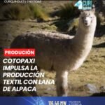 Autoridades del Gobierno Provincial de Cotopaxi realizaron la entrega de maquinaria destinada al área textil, con el objetivo de fortalecer la producción y generar artículos elaborados a partir de la lana de alpaca.
