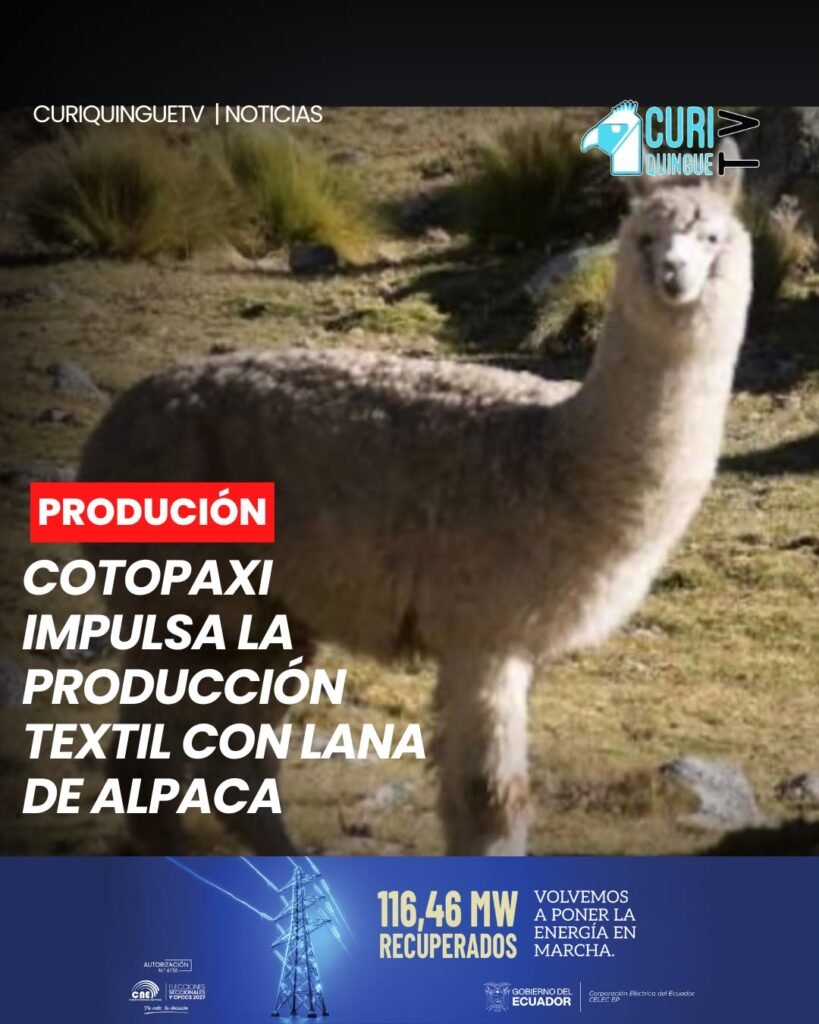 Autoridades del Gobierno Provincial de Cotopaxi realizaron la entrega de maquinaria destinada al área textil, con el objetivo de fortalecer la producción y generar artículos elaborados a partir de la lana de alpaca.