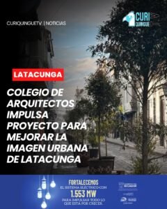 El proyecto busca transformar la apariencia de las calles céntricas de la ciudad con apoyo de las autoridades municipales.