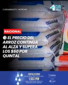 El precio del arroz mantiene una tendencia al alza desde agosto de 2026, y en algunos casos ya supera los 60 dólares por quintal en la ciudad de Quito.