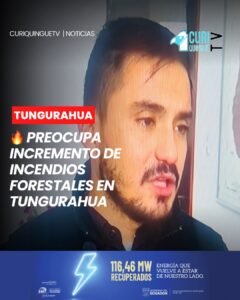 Las autoridades han expresado su preocupación por el incremento de incendios forestales registrados en diferentes cantones de Tungurahua. El mayor número de reportes se concentra en Píllaro, especialmente en zonas aledañas al Parque Nacional Llanganates.