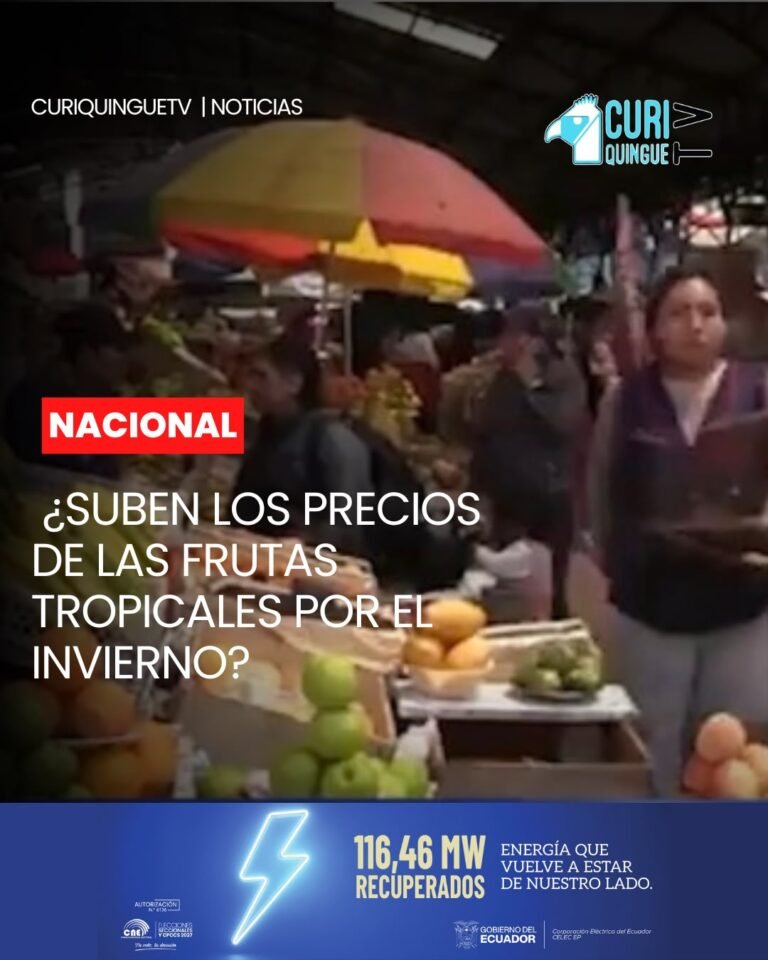 Las inspecciones buscan comprobar si las variaciones de precios responden a las afectaciones provocadas por la temporada invernal o si se estarían produciendo incrementos injustificados bajo este argumento.